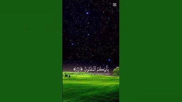 سورة ن