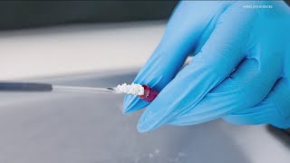 Trump Expected To Sign Executive Order Opening Door To Federal Ibogaine Research Funding