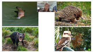 EPL @ Home: Learn about Australia