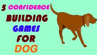 5 confidence building games for dogs