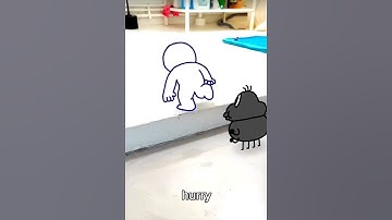 We waited 2,5 hours for the washing machine song @Rabbert