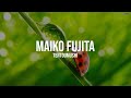 Maiko Fujita - Tentoumushi | Lyrics