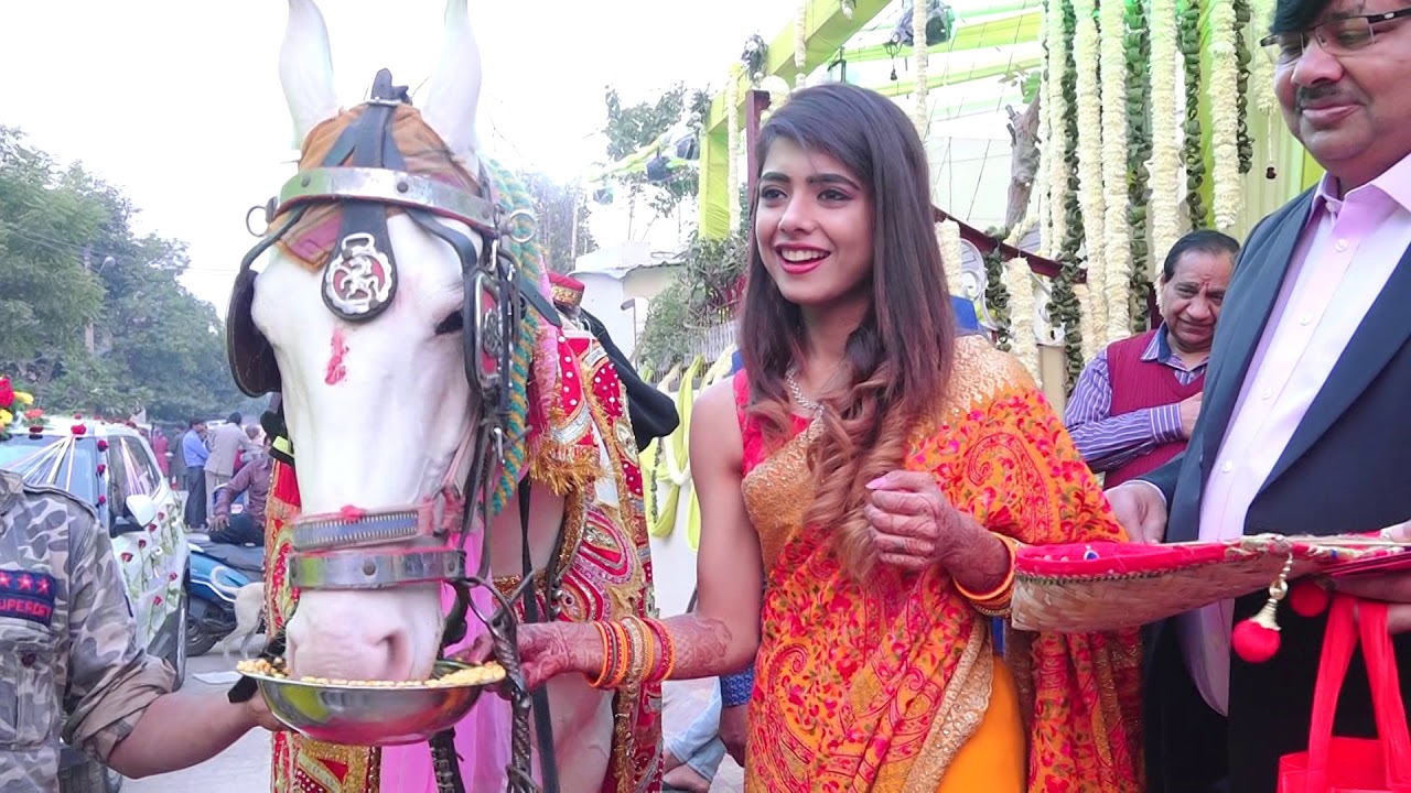 Animesh & Aditi - Gurchari & Barat Vol 1