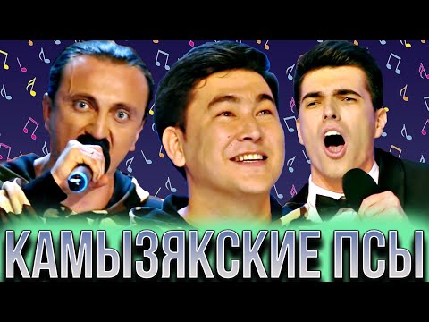 КВН Камызякские псы/Сборник лучших песен