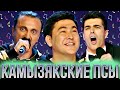 КВН Камызякские псы/Сборник лучших песен