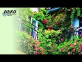 Вертикальное озеленение частных домов и балконов