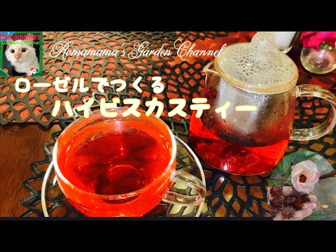 【ハイビスカス】ローゼルで作るハイビスカスティー　#ハーブティー　#美肌　#お茶