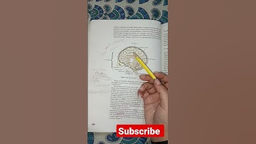 Important Diagrams of Science Chapter 7 Class 10th CBSE BOARD Session 2022-23 #shorts #educationlo