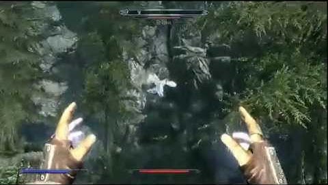 Funny Ice Form Bug [Skyrim]