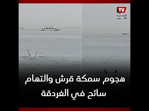 شاهد لحظة هجوم سمكة قرش وافتراس سائح في الغردقة