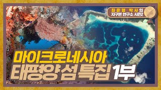 산호초의 천국 마이크로네시아, 태평양의 섬 이야기 1부 [지구본연구소 시즌2 - EP.48]