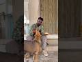 Watching fully❤️#viralvideoshorts #dogshorts #dogvideos #dogsofinstagram #sakthi