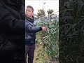 真っ先にすること