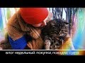 ВЛОГ недельный! ГОТОВКА! ПОЕЗДКА В Харьков! МОЙ БЫТ!