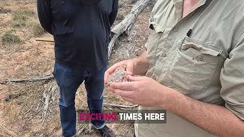 👀First Look at the Weethale Gold Project - 60 Seconds with MD Greg Miles