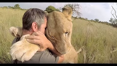 Tenerezza animale (Abbracci con tutti gli animali)