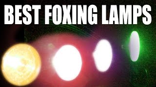 Best Foxshooting Lamps