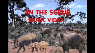 In The Scrub Music Video