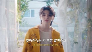 ✨다시 태어나도 난 너의 곁에 있을 거야 | 세븐틴 - 𝐒𝐞𝐜𝐨𝐧𝐝 𝐋𝐢𝐟𝐞 (가사해석)