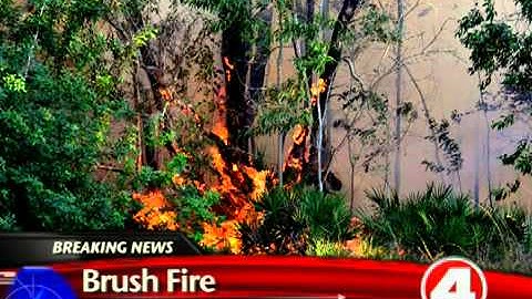 Firefighters battle brush fire in Cape Coral