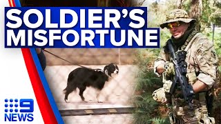 Exsoldier storms Melbourne animal shelter and holds employee at gunpoint | 9 News Australia