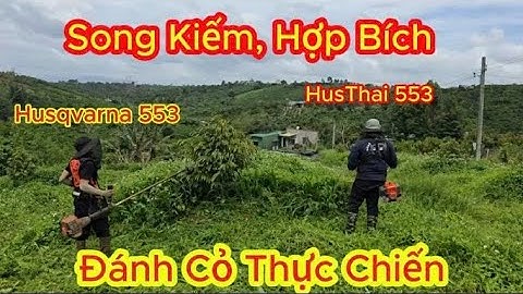 HusThai 553 và Husqvarna 553 chính hãng! Song kiếm, Hợp bích đánh cỏ thực chiến! Quá đả AE ơi!