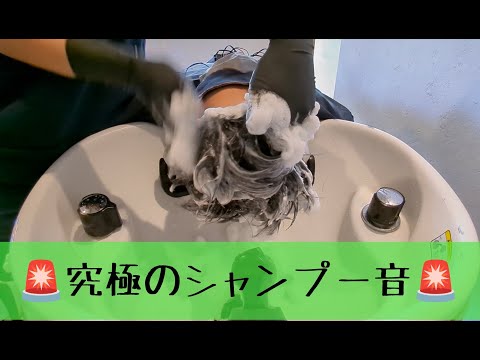 シャンプー体験ASMR【30分で眠るプロの技】Shampoo