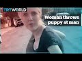 Woman harasses man and throws a dog at him