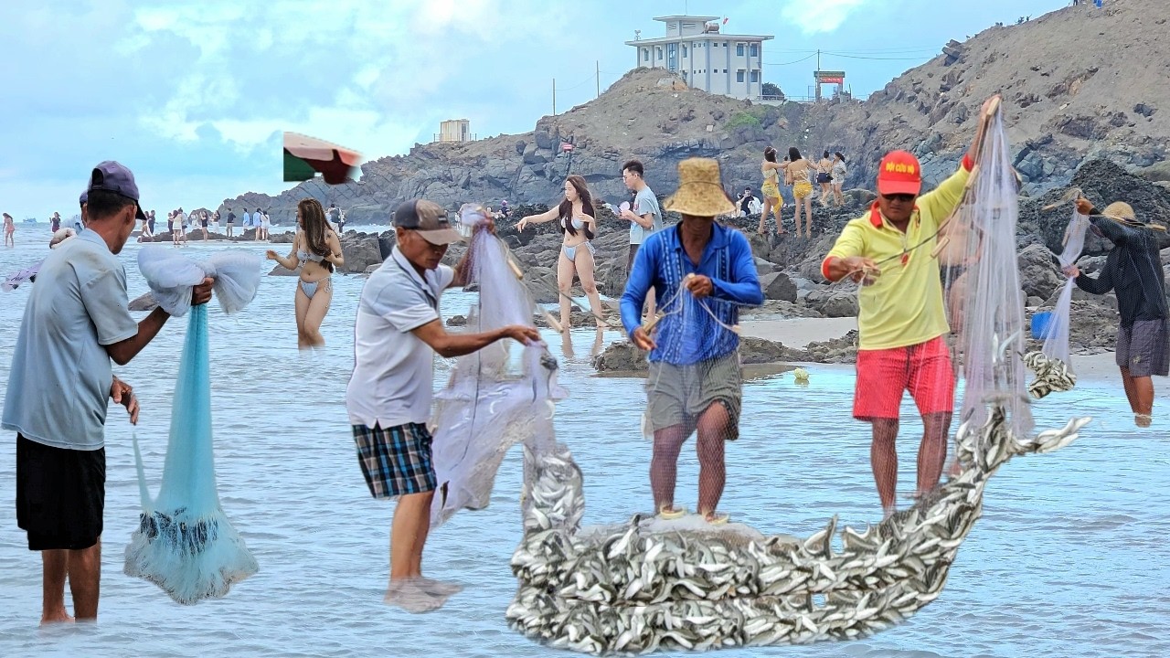 Mùa Cá Đối Vào Bờ Các Chú Chài Cá May Mắn - Sửng Sốt Trước Cảnh Tượng Cực Nóng Dưới Bãi Tắm Quá Đẹp