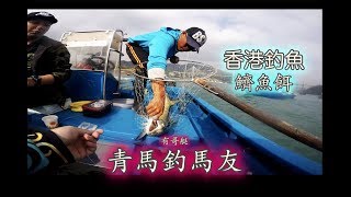 香港釣魚 有哥艇 青馬鱭魚餌釣大馬友