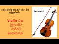 VIOLIN LESSONS IN SINHALA.( How to hold the Bow ) Lesson 01