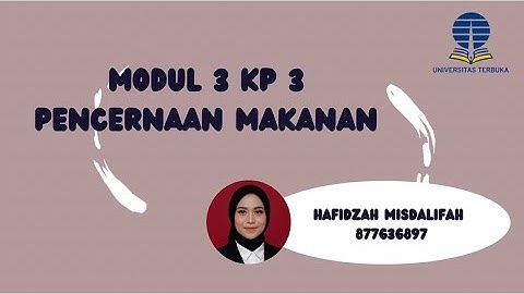 Video Modul 3 KP 3 Praktikum Pencernaan Makanan - Praktikum Mandiri 