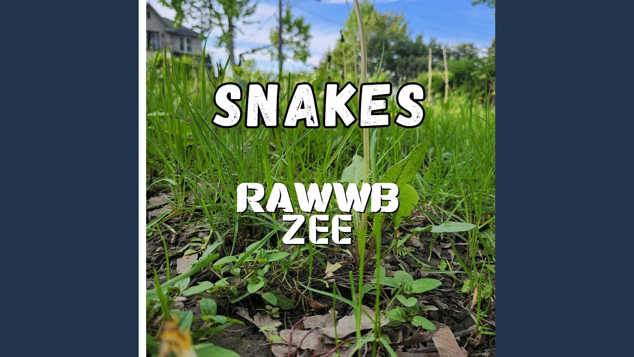 Watch Snakes (feat. MC Zee) on YouTube Watch Snakes (feat. MC Zee) on YouTube