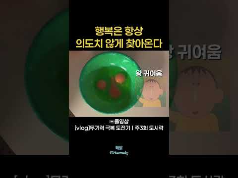 행복은 의도치 않게 찾아온다 #자취러 #다이어터 #도시락 #무기력증