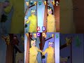COME DANCE with Surreal Ziki 😡 Who is Your Scariest? Part2 😨🚪💃❤️ #shorts #humor #funny
