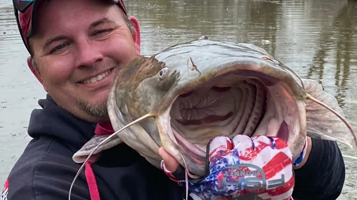 Catfish Tournament Ohio River - Point Pleasant