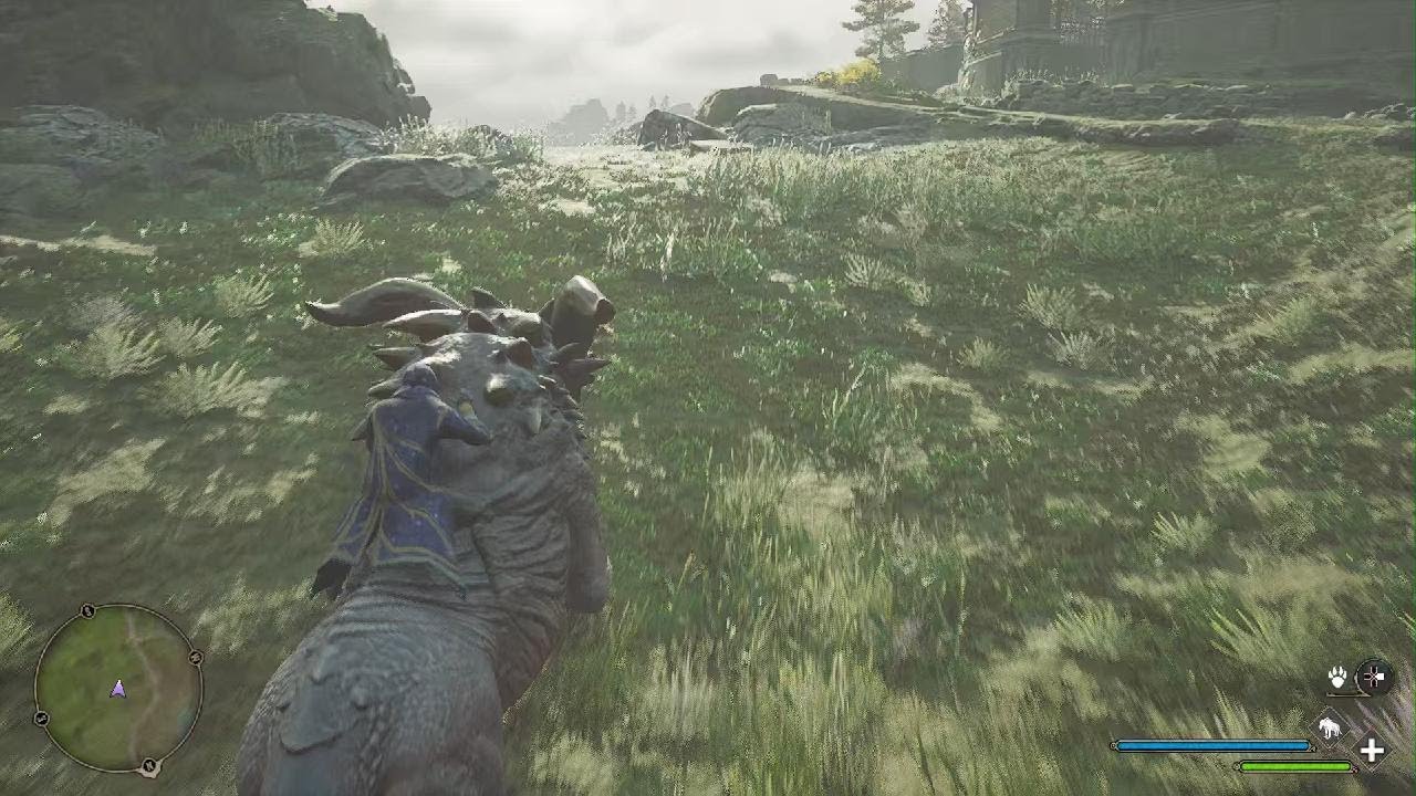 Exploration Land and Air [HOGWARTS LEGACY]