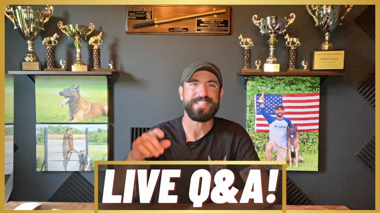 I’m Back! Answering All Your Dog Training Questions!