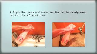 How to Kill Mold with Borax