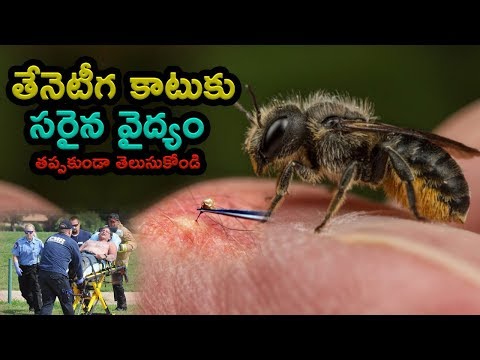 Bee Sting Treatment at Home in Telugu | తేనెటీగల కాటుకు చికిత్స | #Telugu Gola