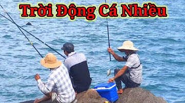 VUONG LT VLOG | câu cá biển nhơn hải | một ngày bội thu cá giò _cá táo | Nấu ăn tại chỗ | phần cuối