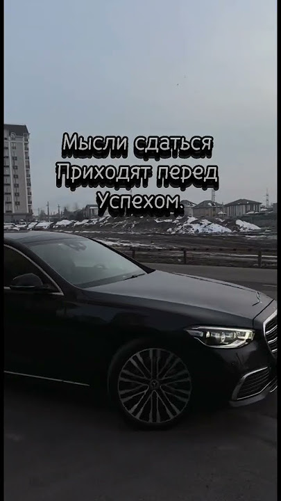 https://t.me/LikatoTeamsBot?start=f199caa8-6344-4c46-9764-339401907498