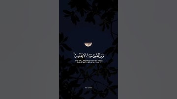 ومن يتق الله يجعل له مخرجا | سورة الطلاق | القارئ خالد الجليل