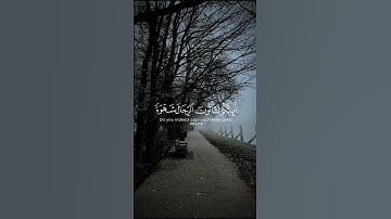 و لوطا إذ قال لقومه - سورة النمل - ياسر الدوسري