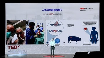 基因工程会给人类带来怎样的未来？ | Hui (杨辉) Yang | TEDxHuangPu