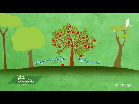 #უკეთრომაკეთოთ ნოემბერში ბაღ-ბოსტანში ჩასატარებელი სამუშაოები