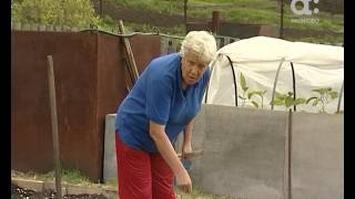 видео: Голова садовая. Как выращивать морковь картинка: Голова садовая. Как выращивать морковь