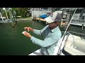 Two Tips for using Live Pinfish for Bait