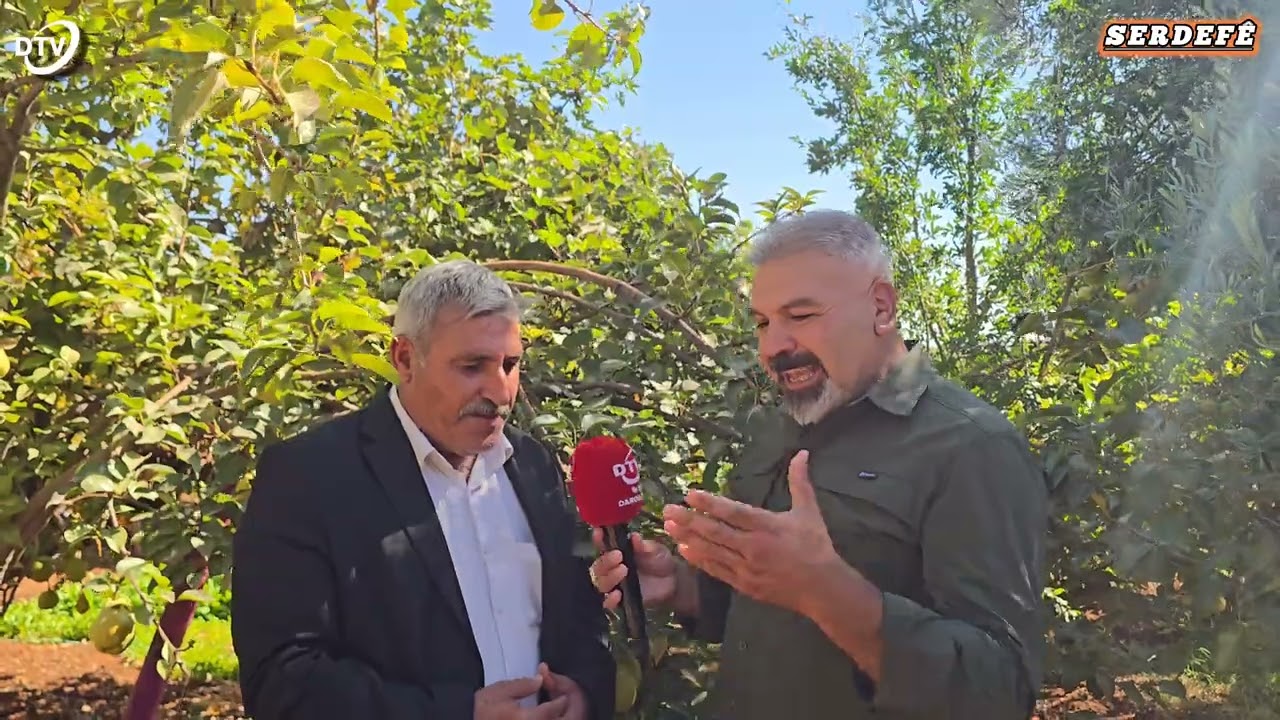 SERDEFÊ KERBORAM MERDÎN