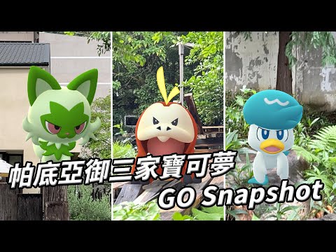GO Snapshot｜帕底亞地區御三家寶可夢初登場！！！新葉喵、呆火鱷、潤